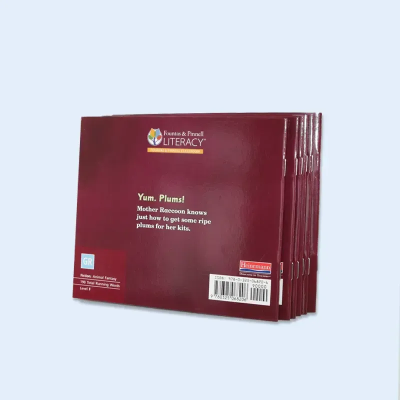 Custom Saddle Stitched Book Printing