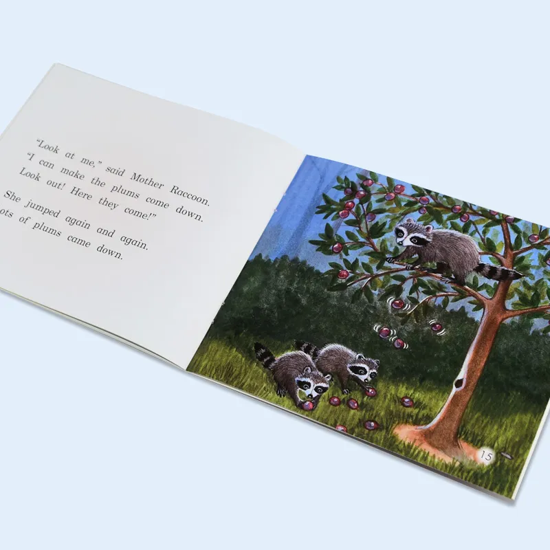 Custom Saddle Stitched Book Printing