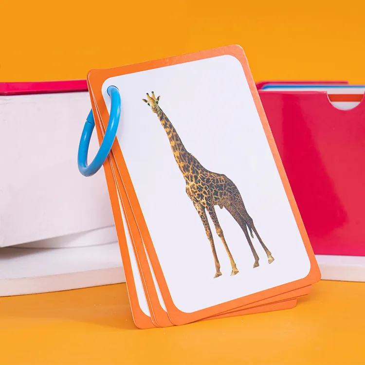 Custom Flash Cards Printing